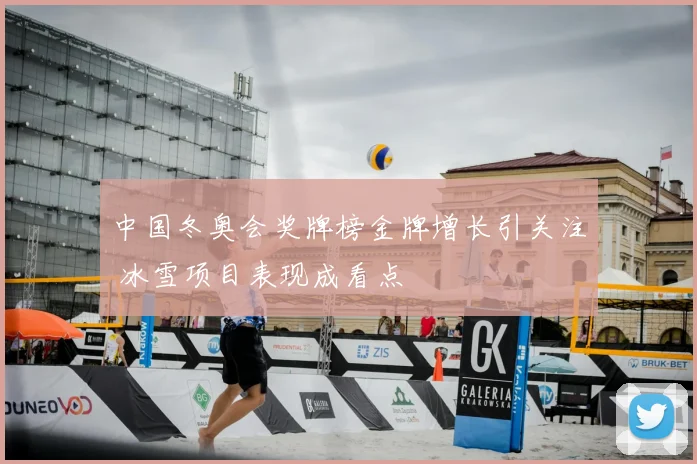 中国冬奥会奖牌榜金牌增长引关注 冰雪项目表现成看点