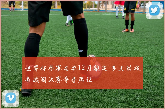 世界杯参赛名单12月敲定 多支劲旅备战淘汰赛争夺席位