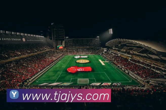 App Interface Preview